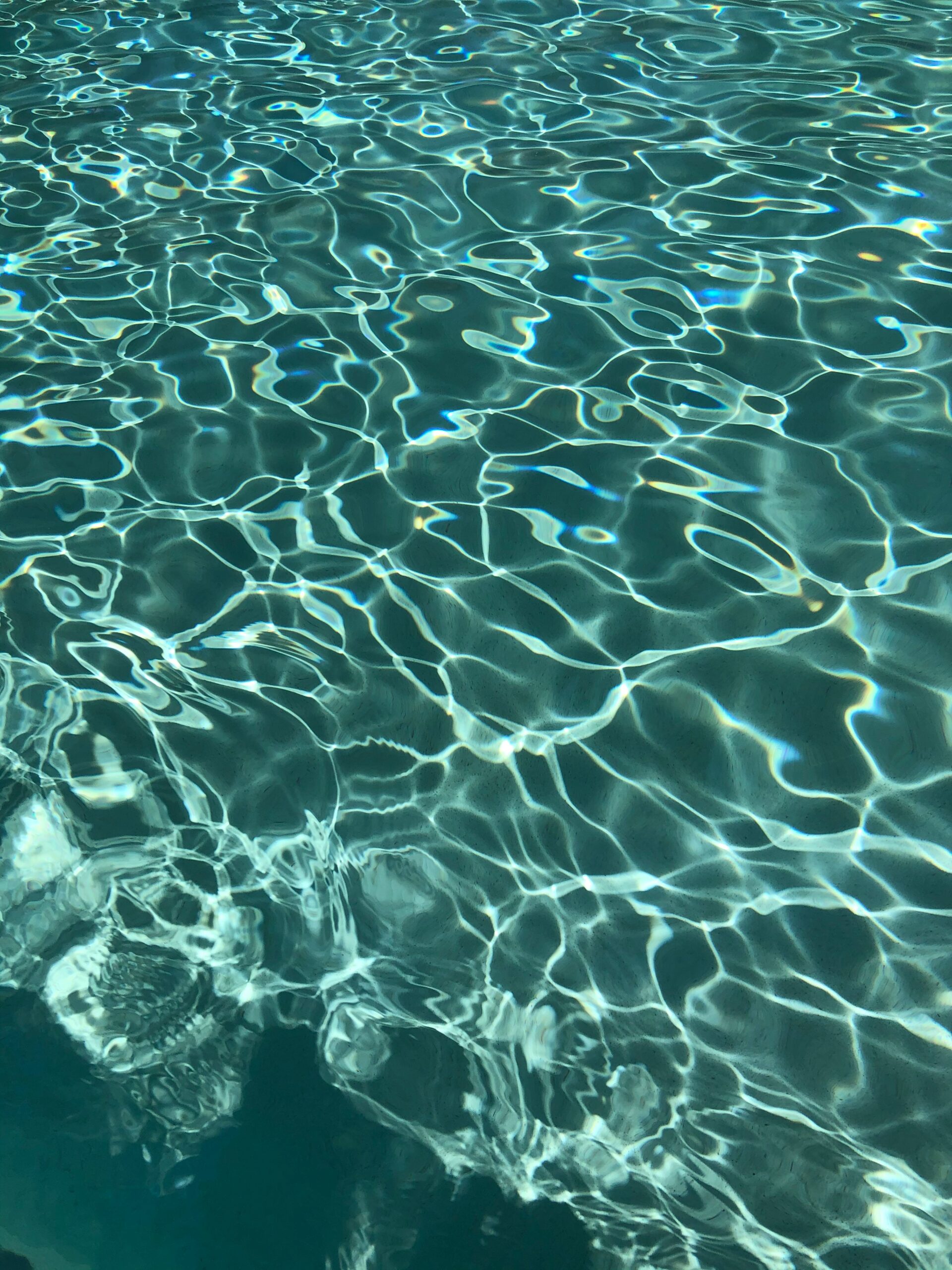Ingrid Salmanca Y6OKbIFe4Z0 Unsplash Scaled